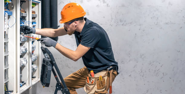 Best Electric Panel Repair  in Roseville, MN