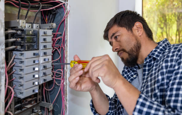 Best Generator Installation Services  in Roseville, MN